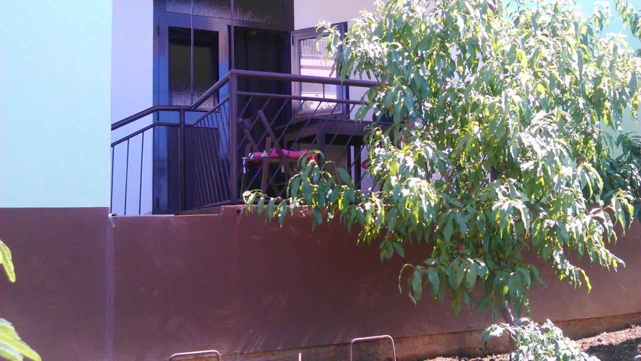 נובי ווינודולסקי Apartmani Ana Novi V. - Studio מראה חיצוני תמונה