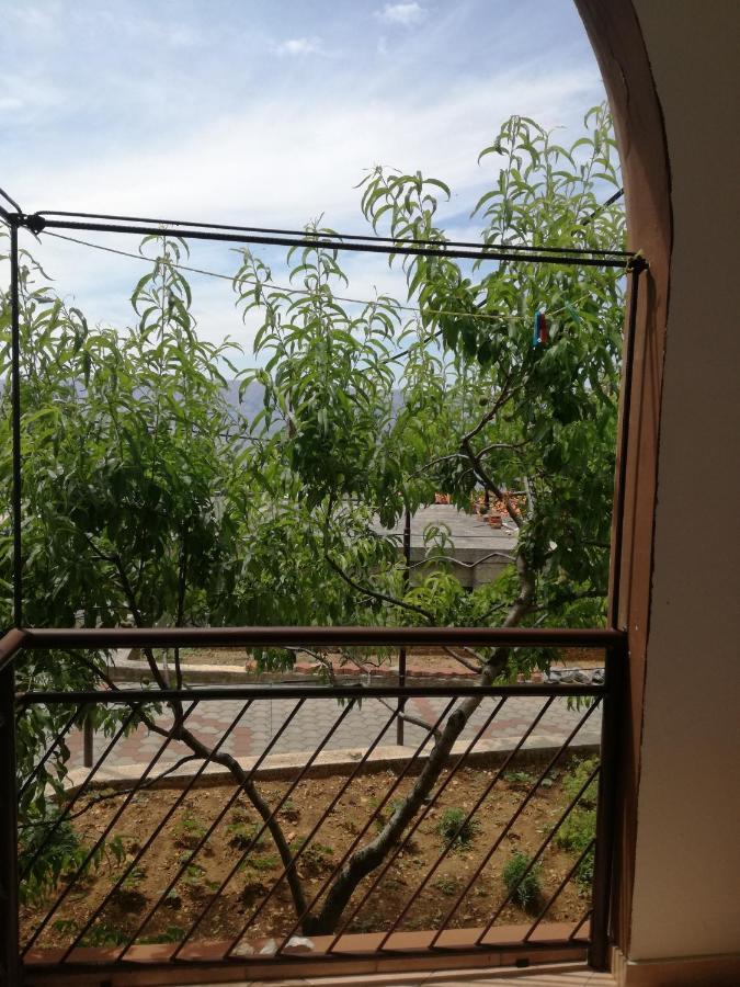 נובי ווינודולסקי Apartmani Ana Novi V. - Studio מראה חיצוני תמונה